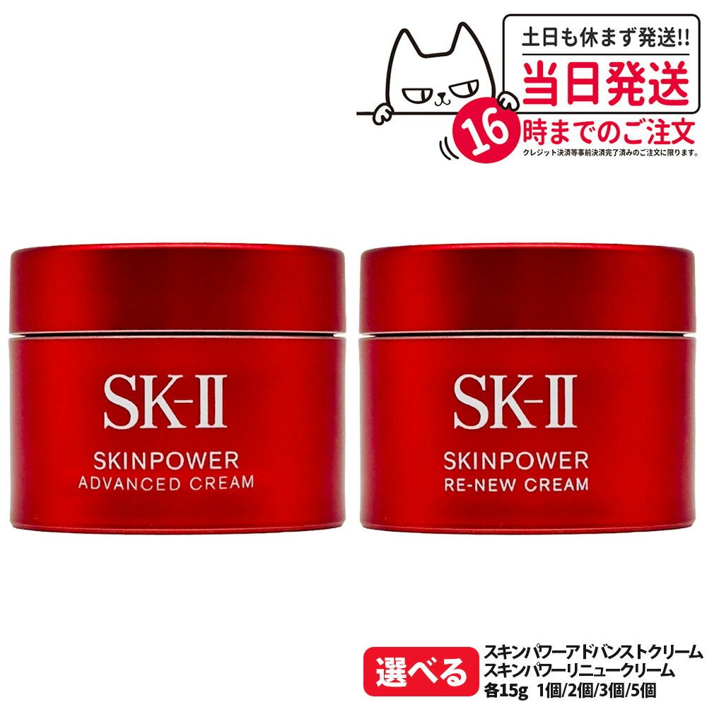 sk2-009-ra.jpg