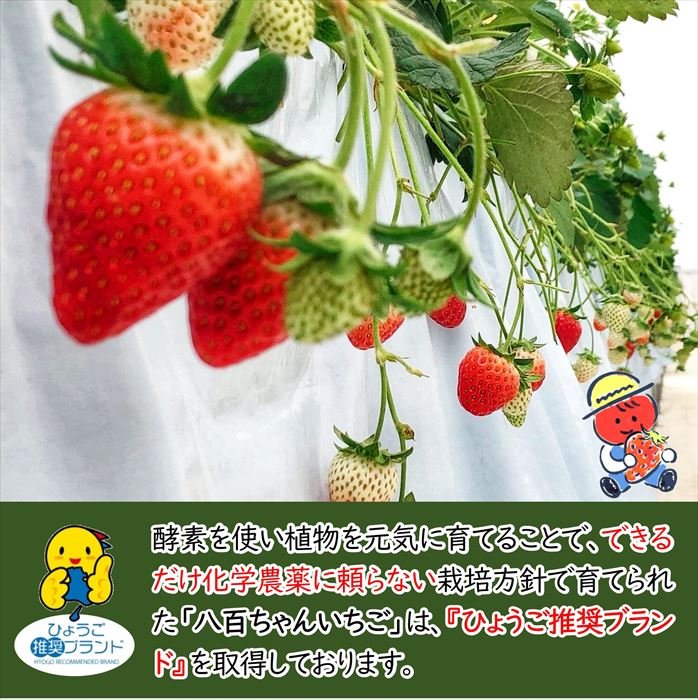 楽天市場】【いちごみるくのもと 200g】八百ちゃんいちご みつ