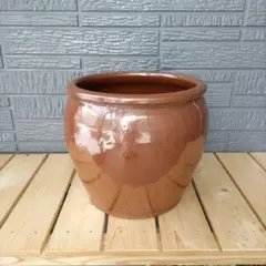 2026年最新】甕 メダカの人気アイテム - メルカリ