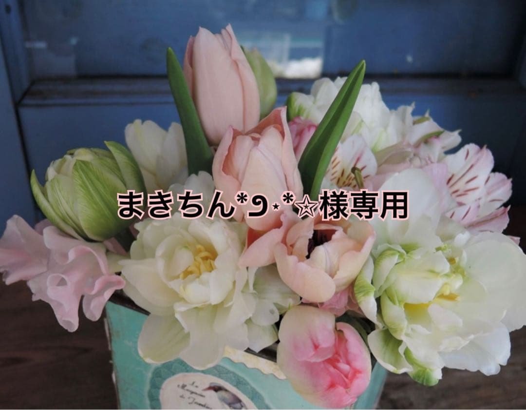 まきちん*೨⋆*✩ 2023 KAWASAKI ZX-6R $9,995 V#018553 5,086 MI – Ai Auto Exchange