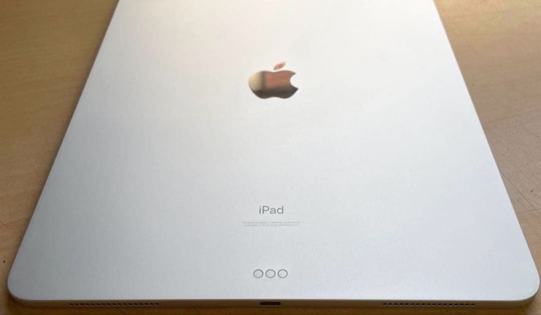 iPad Pro 12.9 第4世代 シルバー　128GB 超美品 #1